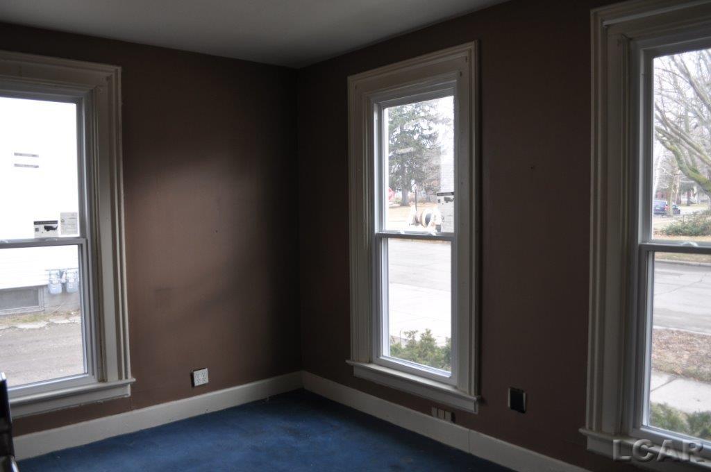 133 Union Street Adrian, MI 49221 - Photo 6 of 29