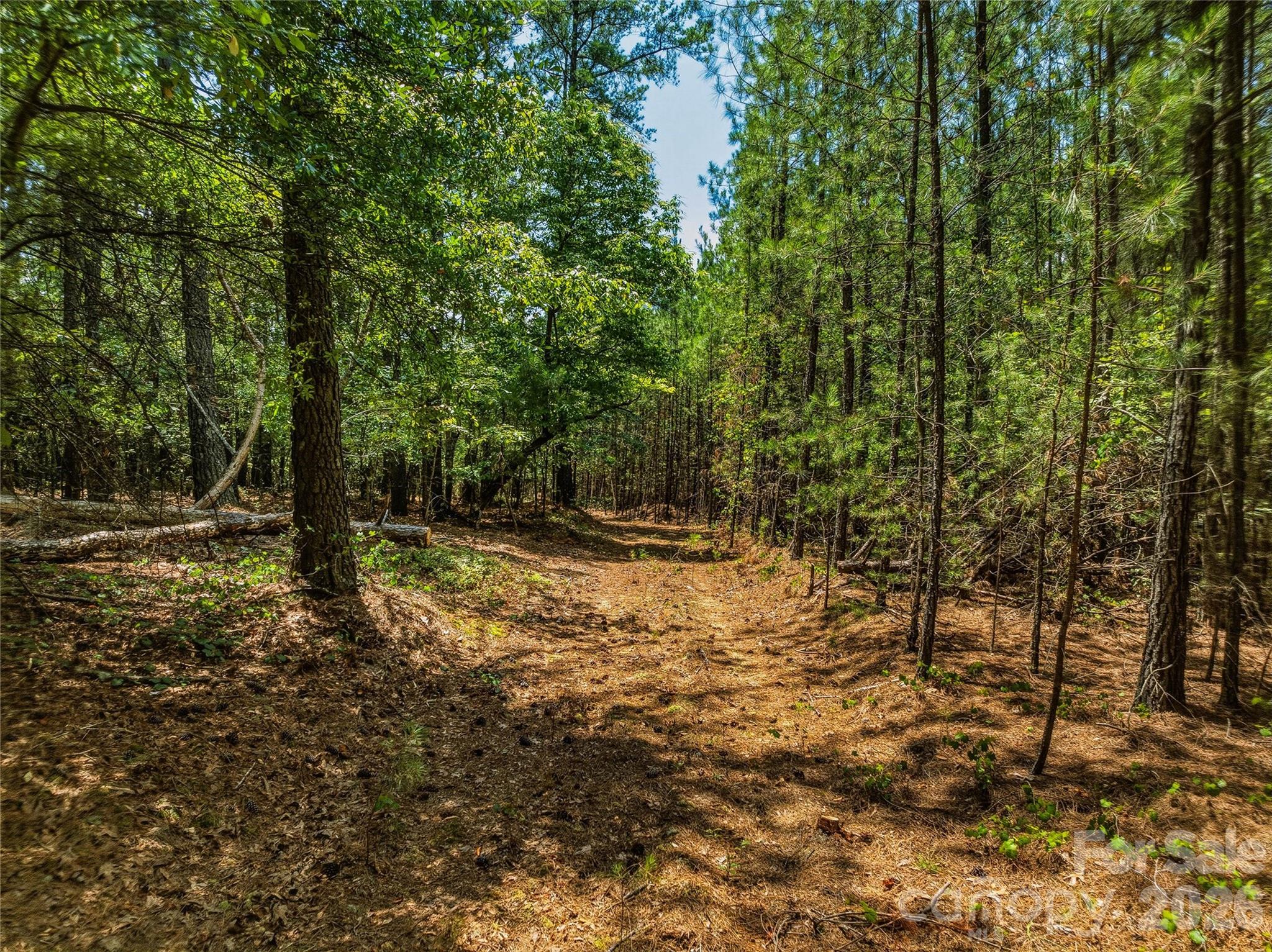 6783 Peniel Road Tryon, NC 28782 - Photo 11 of 36