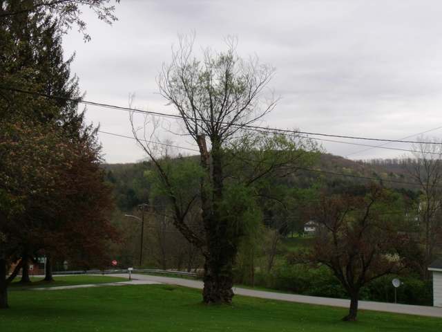 42 Utah Road Sheffield, PA 16347 - Photo 51 of 52 Gallery Image 51