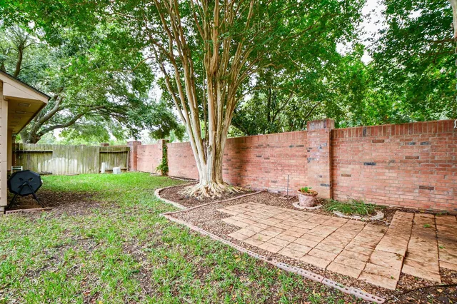 a view of a backyard with large trees and plants