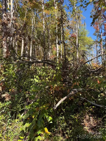 $175,000 | 202 Lyndhurst Drive, Hendersonville, NC 28791