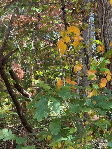 $175,000 | 202 Lyndhurst Drive, Hendersonville, NC 28791