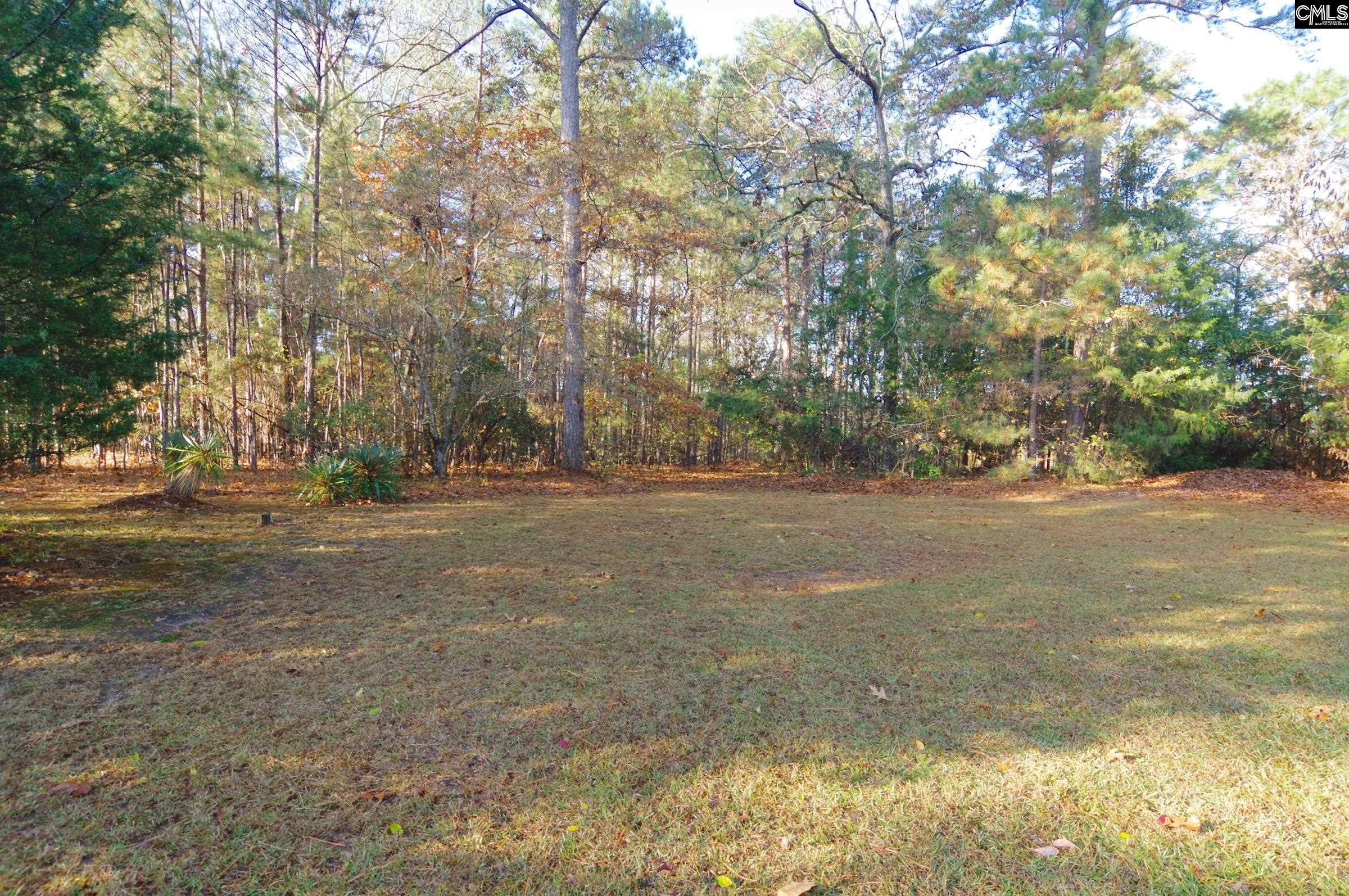 1331 Camping Road Gilbert, SC 29054 - Photo 31 of 40