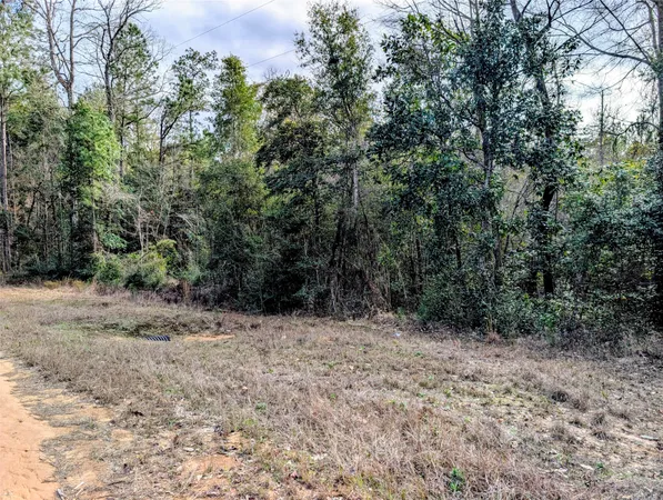 a view of a dry yard with trees