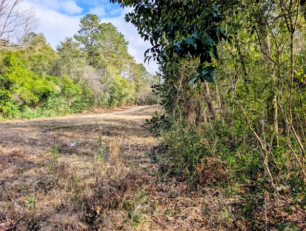 a view of a yard with a tree