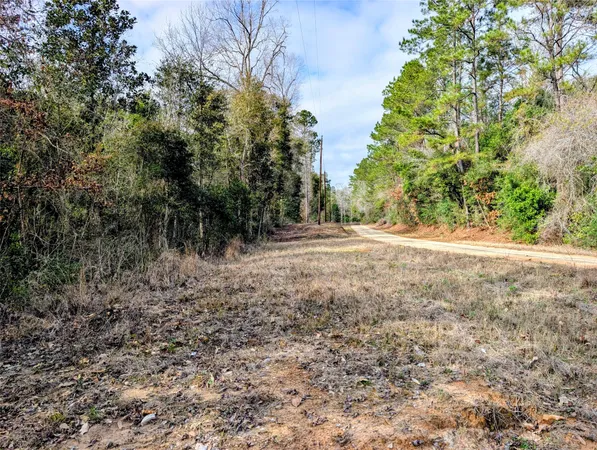 a view of dirt yard with large trees