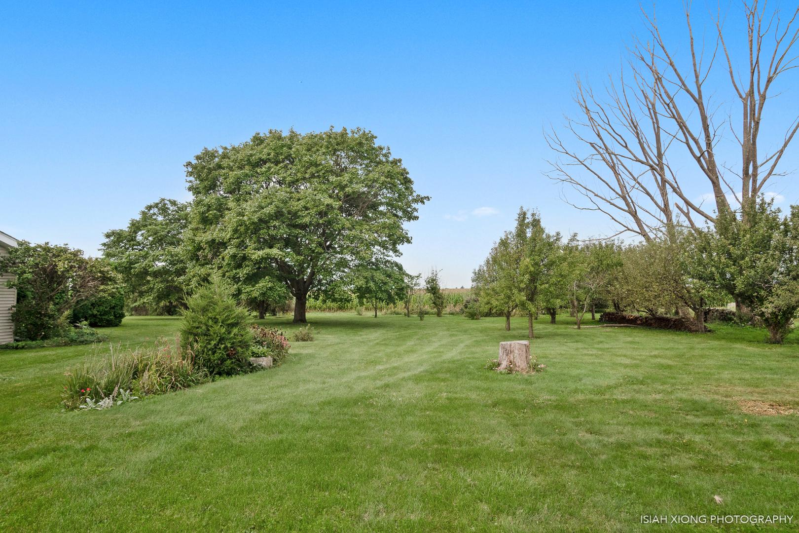 45W702 Wheeler Road Sugar Grove, IL 60554 - Photo 38 of 49 a front view of a house with a yard