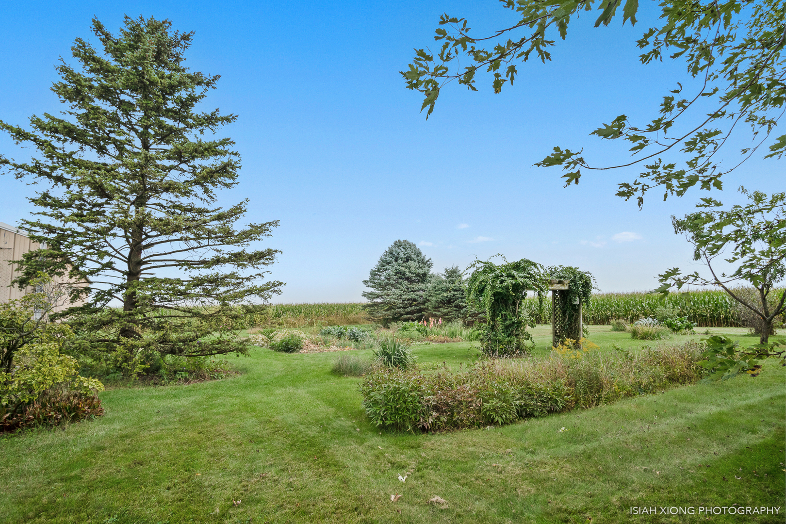 45W702 Wheeler Road Sugar Grove, IL 60554 - Photo 41 of 49 a view of a yard with a tree