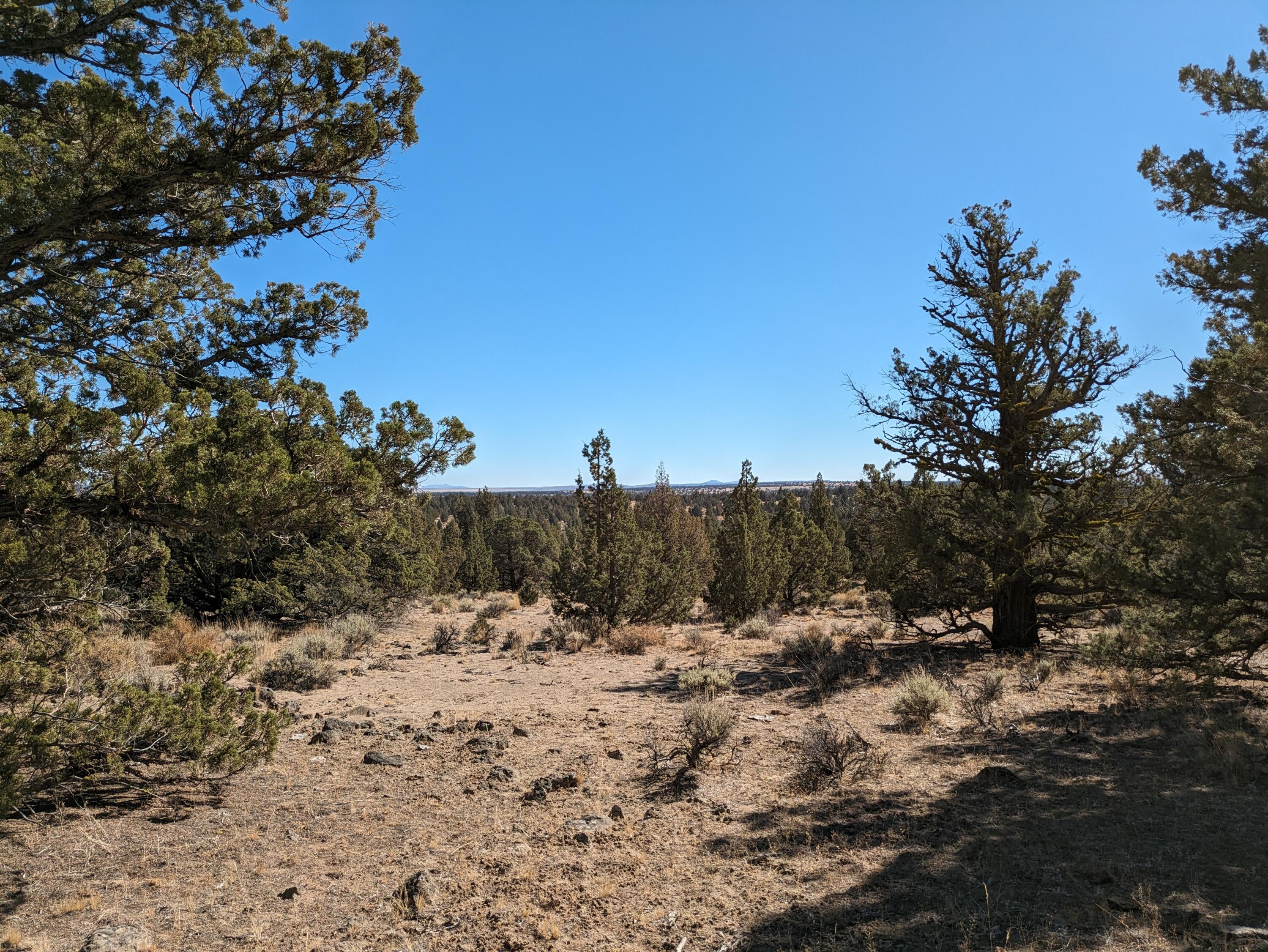 Goldenview Ranch Bend, Unit 200 Bend, OR 97701 - Photo 2 of 20 views from the upper bench