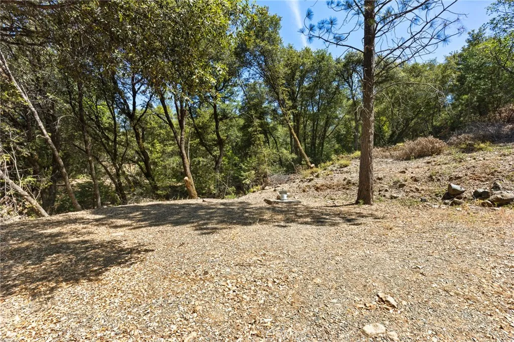 7859 Reed Rackerby, CA 95972 - Photo 18 of 22