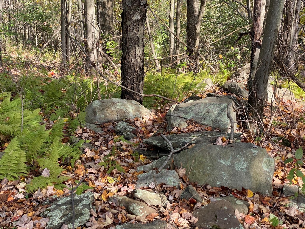 404 Watrous (part Of) Road Greene, NY 13778 - Photo 16 of 46