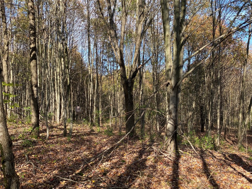 404 Watrous (part Of) Road Greene, NY 13778 - Photo 21 of 46