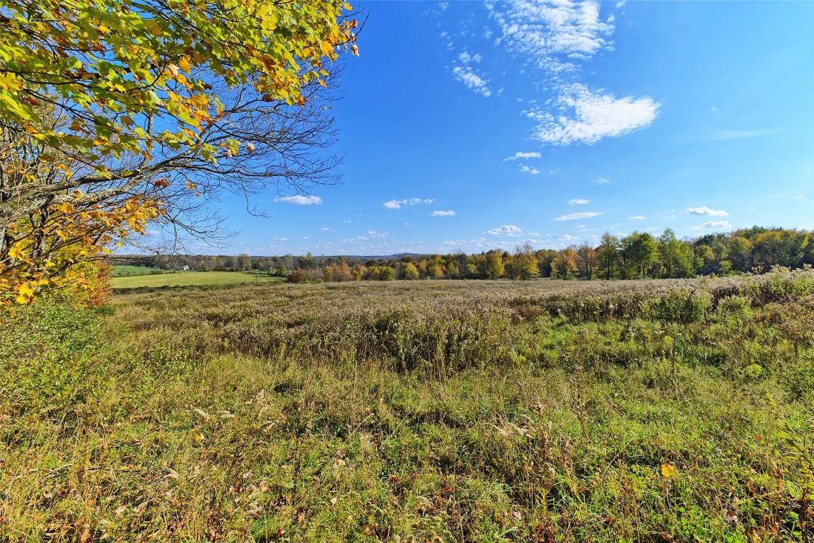 404 Watrous (part Of) Road Greene, NY 13778 - Photo 24 of 46