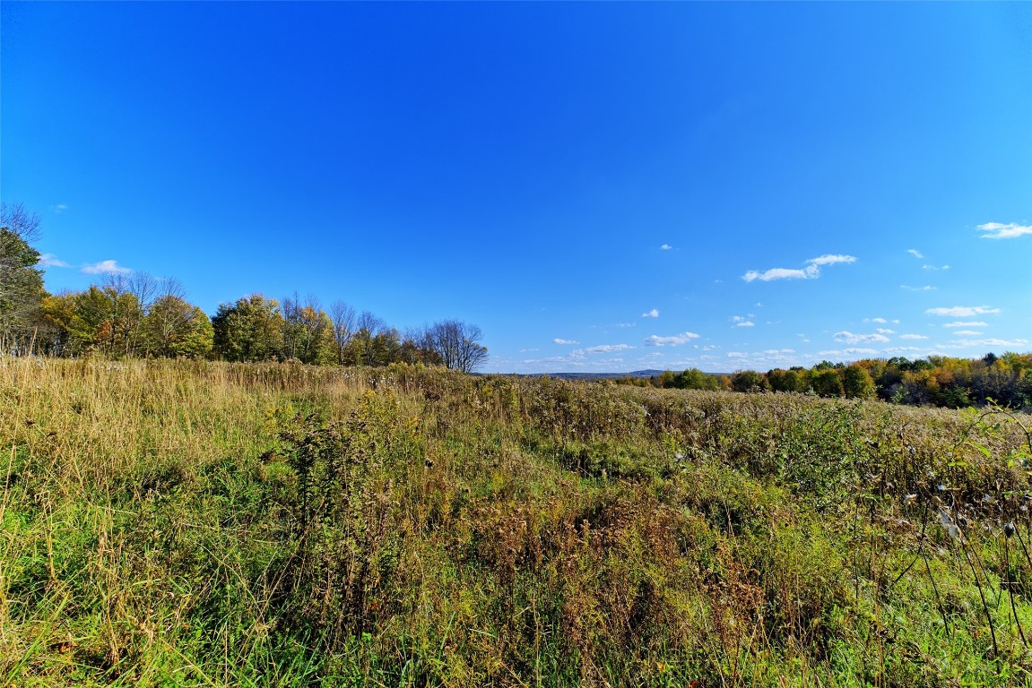 404 Watrous (part Of) Road Greene, NY 13778 - Photo 38 of 46