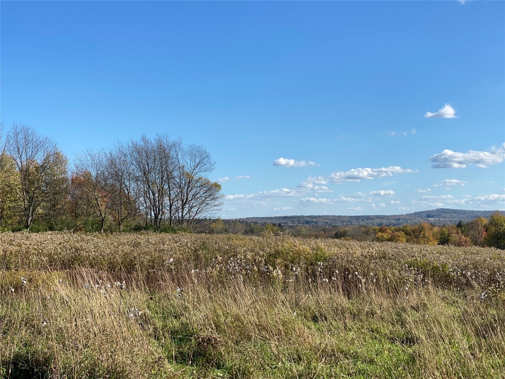 404 Watrous (part Of) Road Greene, NY 13778 - Photo 4 of 46