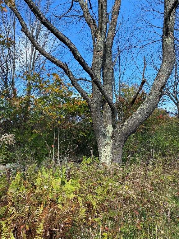 404 Watrous (part Of) Road Greene, NY 13778 - Photo 6 of 46