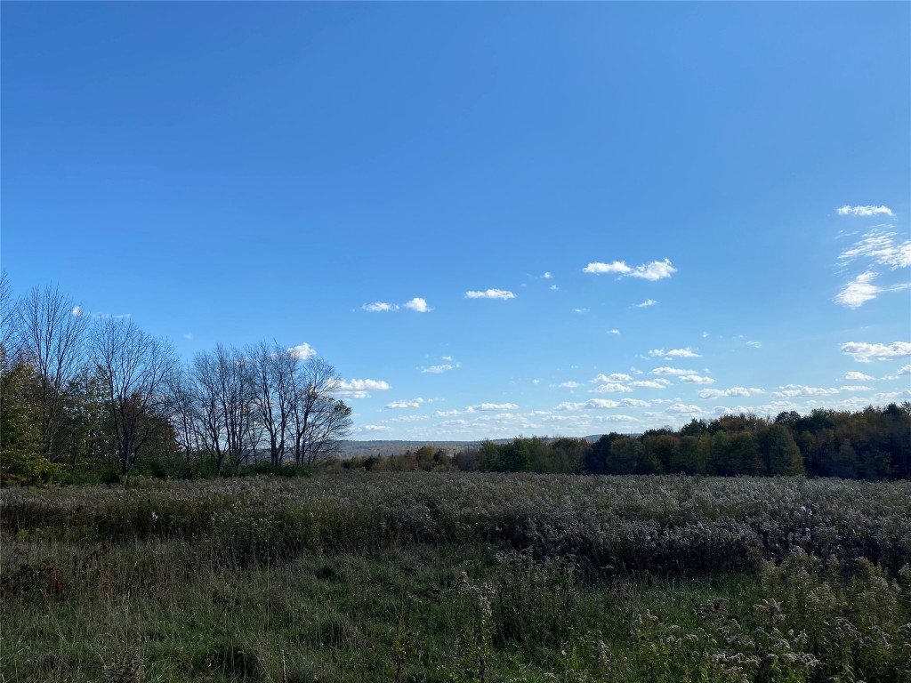 404 Watrous (part Of) Road Greene, NY 13778 - Photo 7 of 46