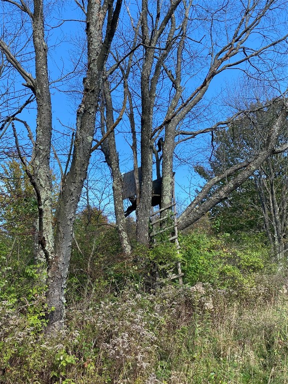 404 Watrous (part Of) Road Greene, NY 13778 - Photo 8 of 46