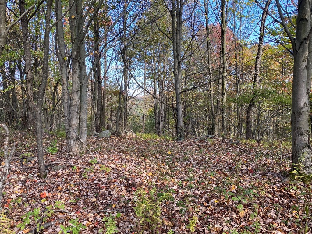 404 Watrous (part Of) Road Greene, NY 13778 - Photo 10 of 46