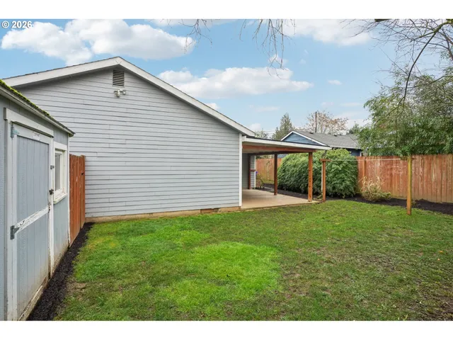 a view of a backyard with plants and large tree
