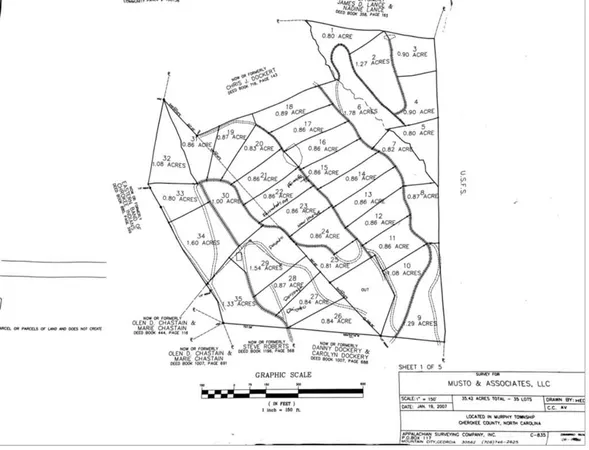 $28,000 | Lot 18 Ivy Log Road, Warne, NC 28909