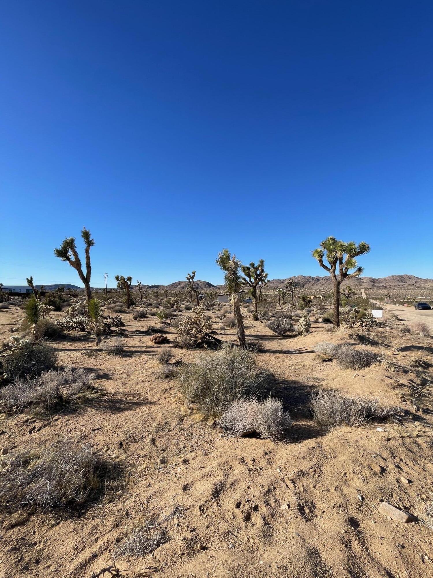 0 Saddleback Road Joshua Tree, CA 92252 - Photo 8 of 20 a view of ocean view with beach
