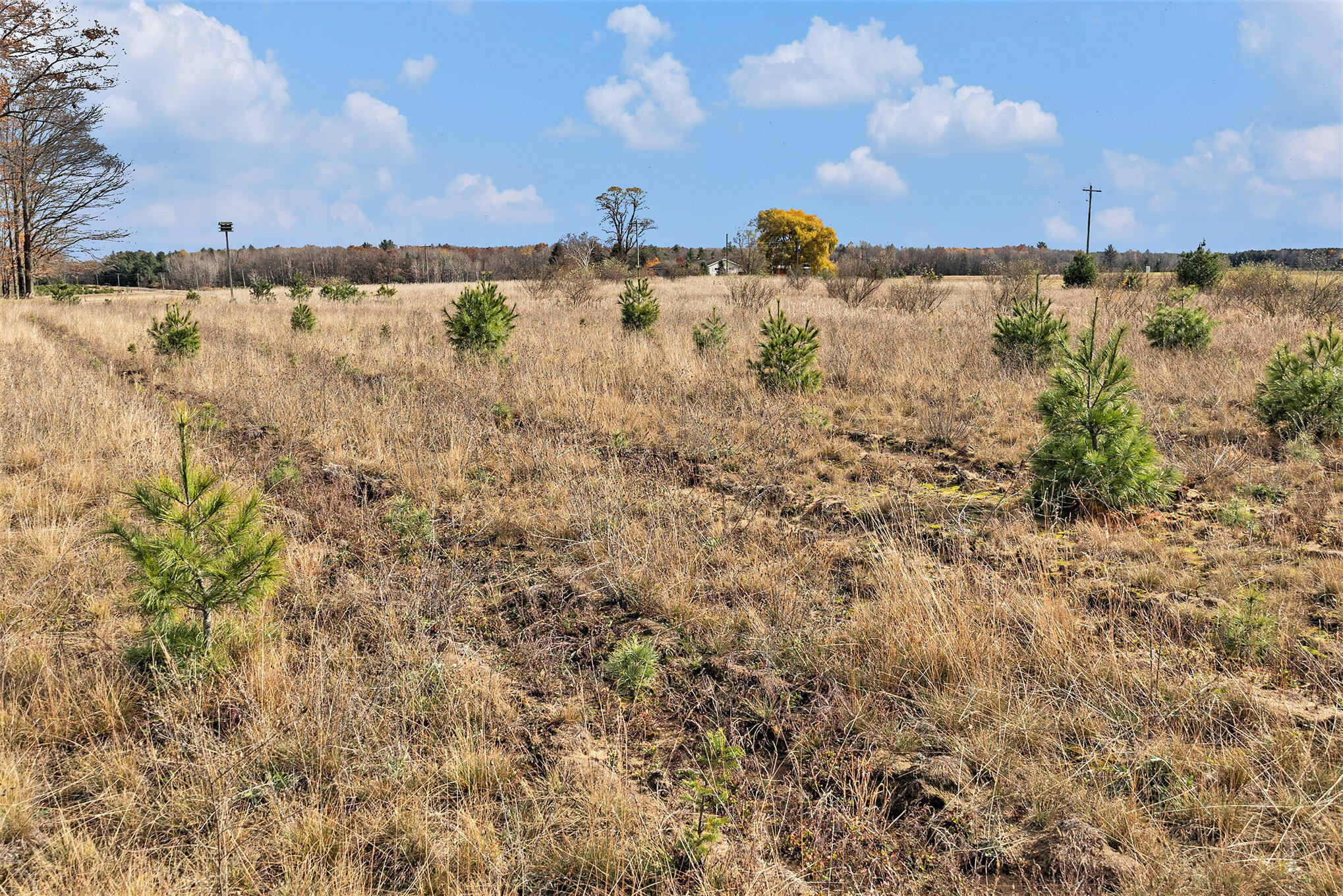 2702 East Hoague Road Free Soil, MI 49411 - Photo 35 of 43 41