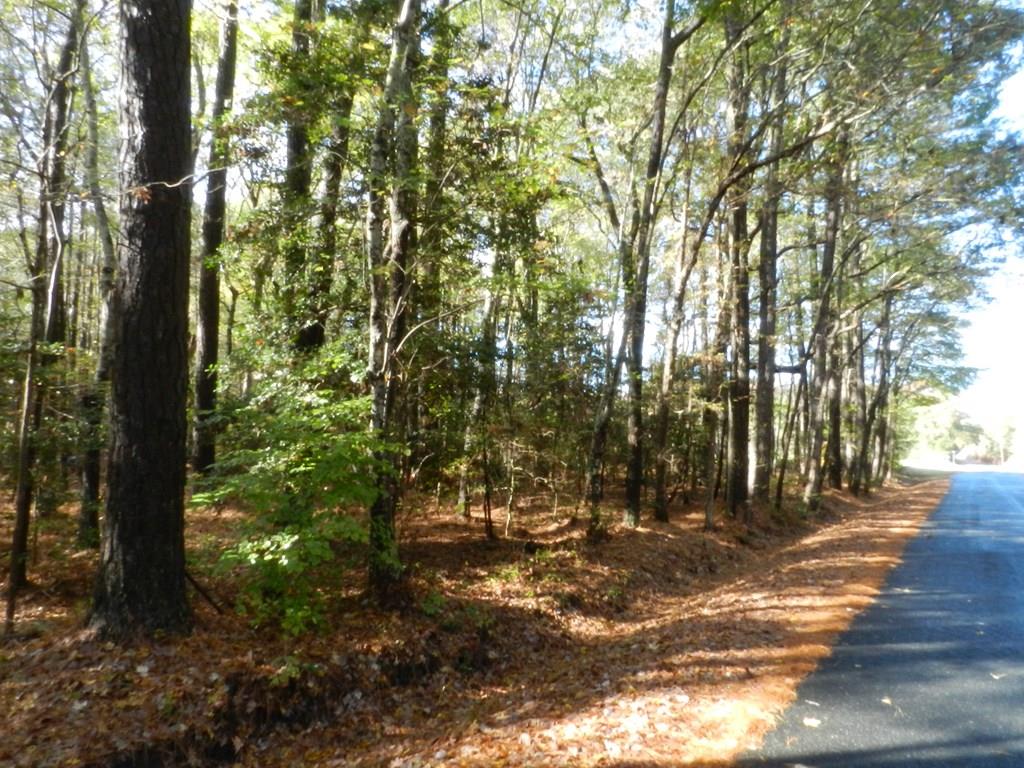 Lot E2 Battle Point Road, Unit E2 Exmore, VA 23350 - Photo 1 of 22