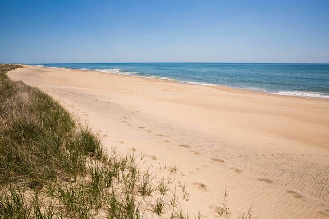146 Watcha Club Road Vineyard Haven, MA 02568 - Photo 8 of 28 Looking East