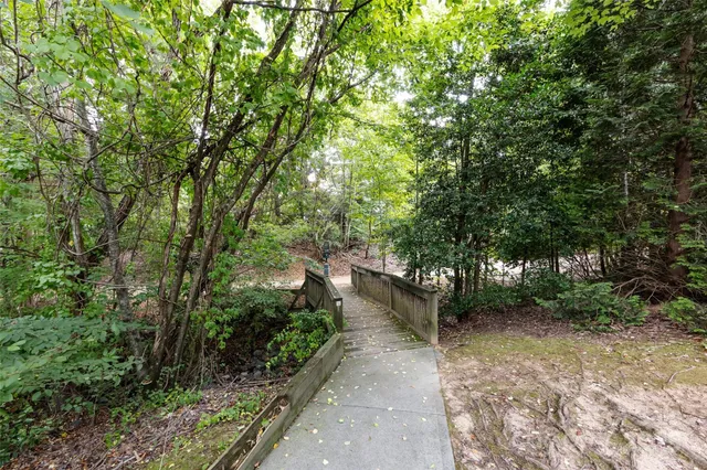 a view of a pathway of a forest