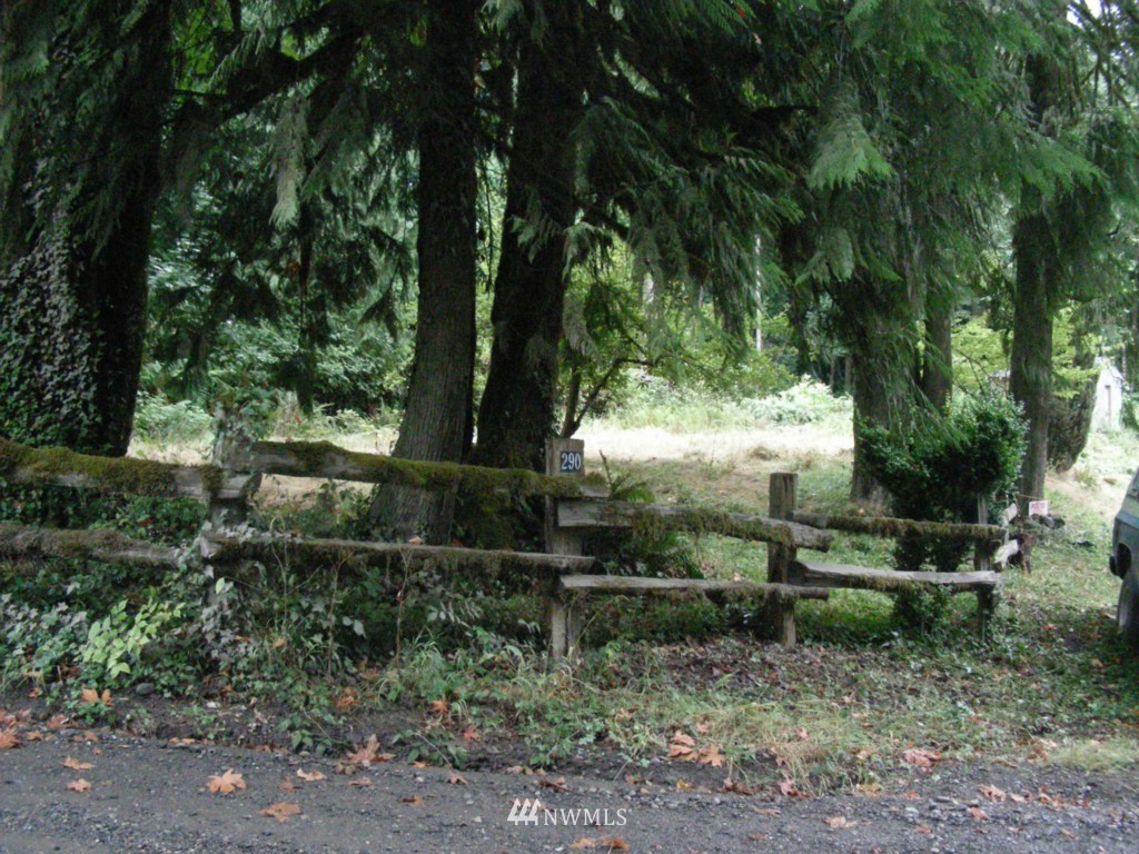 290 East Rasor Road Belfair, WA 98528 - Photo 1 of 2 Gallery Image 1