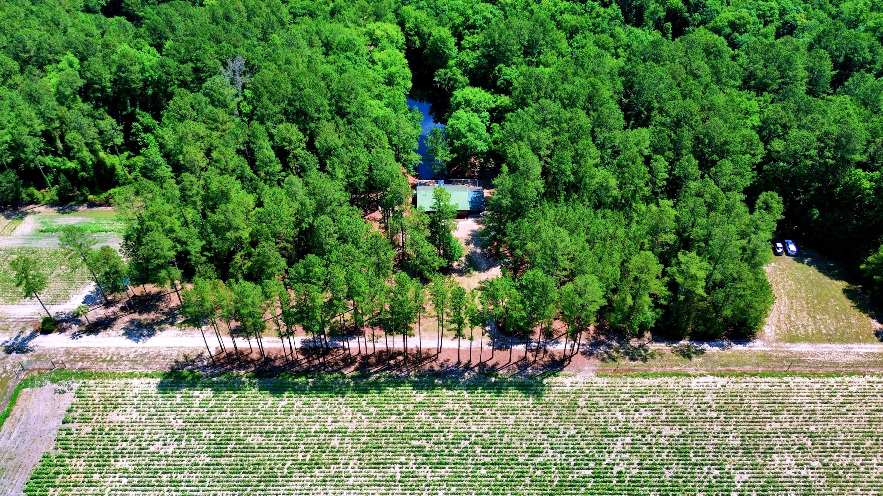 1970 Cross Swamp Road Islandton, SC 29929 - Photo 5 of 150