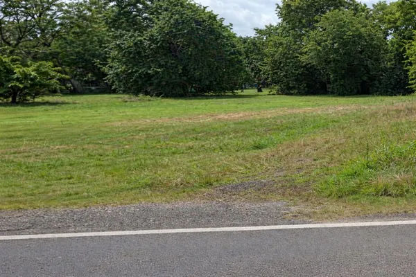 a view of a field with a trees