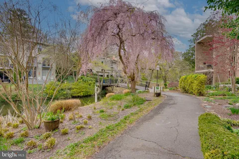 a view of a swimming pool with a lake