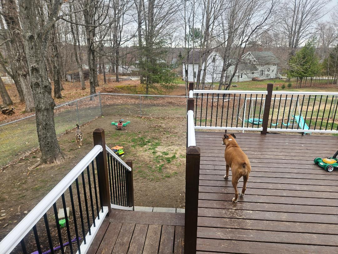 106 Main Street Dexter, ME 04930 - Photo 7 of 38 thumbnail - 2026-04-21T083910.872