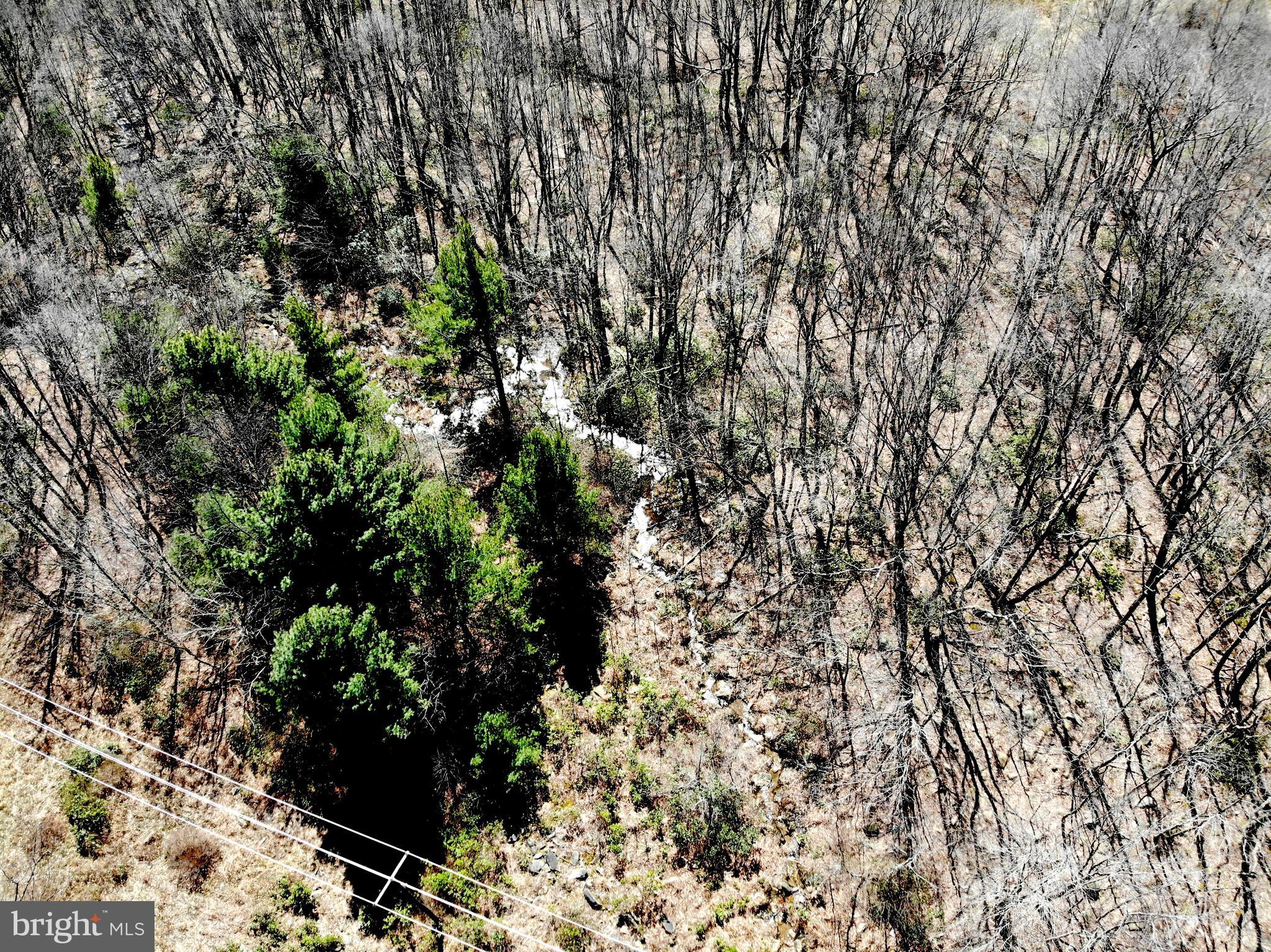 0 North Route 40 Road Frostburg, MD 21532 - Photo 12 of 23