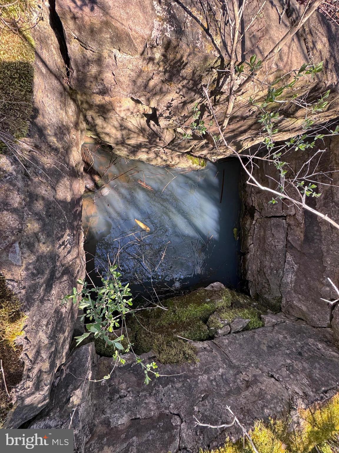 0 North Route 40 Road Frostburg, MD 21532 - Photo 22 of 23 Spring by the foundation