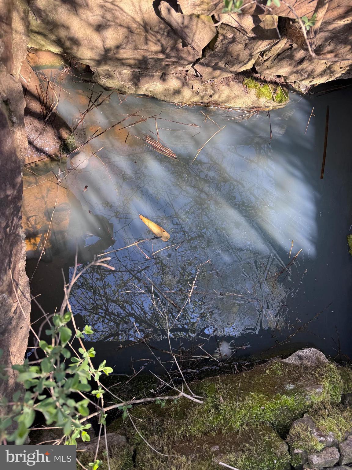 0 North Route 40 Road Frostburg, MD 21532 - Photo 23 of 23 Spring by the foundation