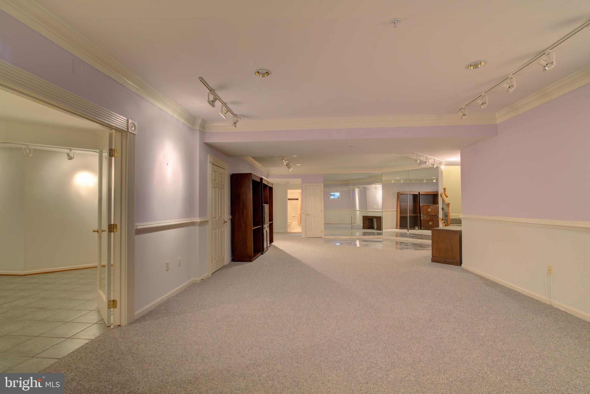 43462 Firestone Place Leesburg, VA 20176 - Photo 46 of 80 SPACIOUS LOWER LEVEL