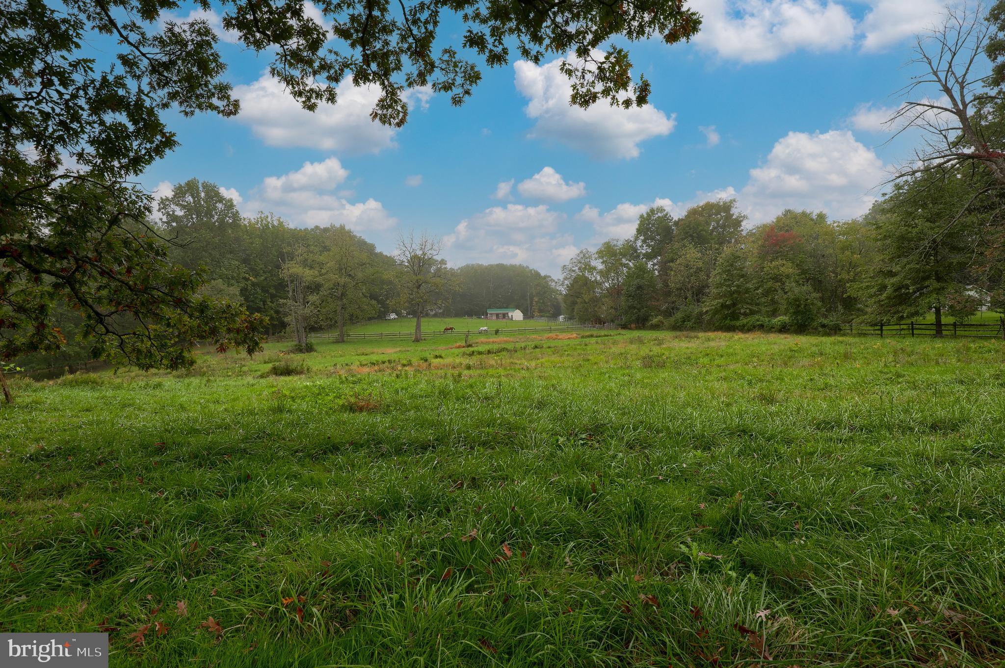 2954 Pinch Road Manheim, PA 17545 - Photo 42 of 42