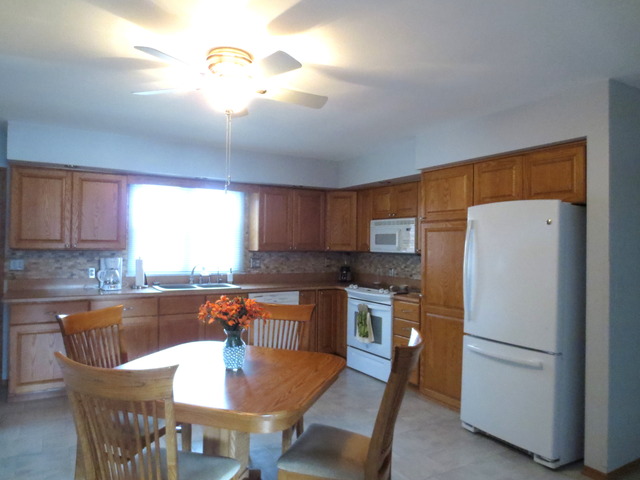 2605 Caton Farm Road Joliet, IL 60435 - Photo 9 of 19