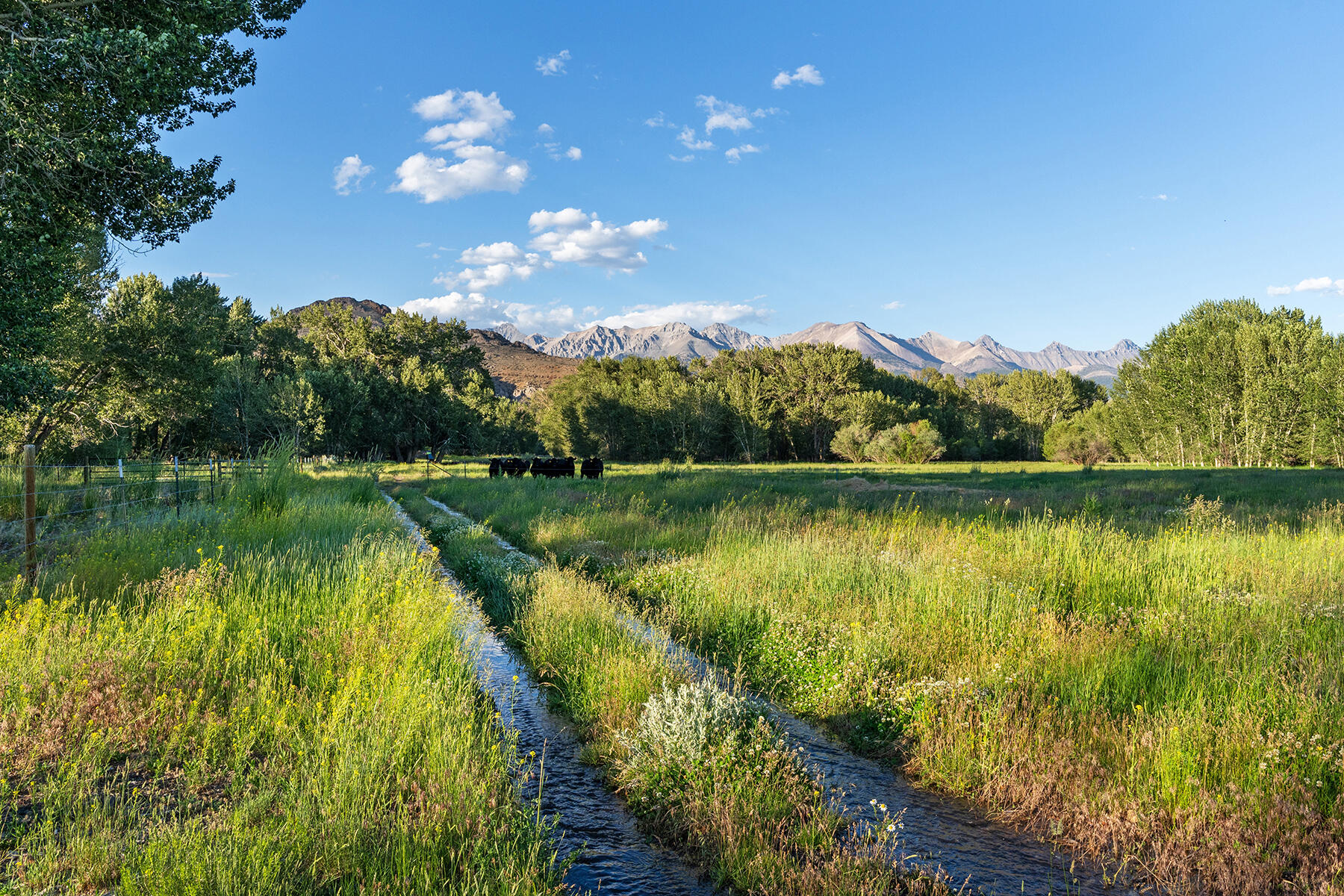6139 Trail Creek Road Mackay, ID 83251 - Photo 96 of 100 096-big-lost
