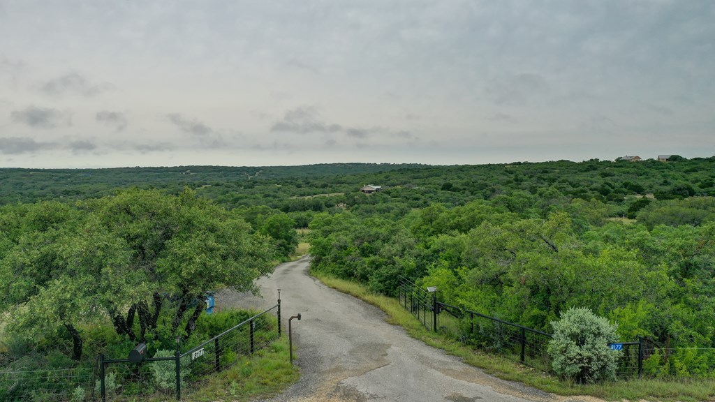 8177 Wendel Road Harper, TX 78631 - Photo 4 of 32 a view of a field of grass and trees