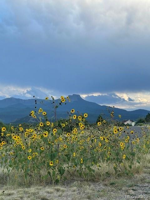 226 Adam Road Trinidad, CO 81082 - Photo 28 of 29 Gallery Image 28