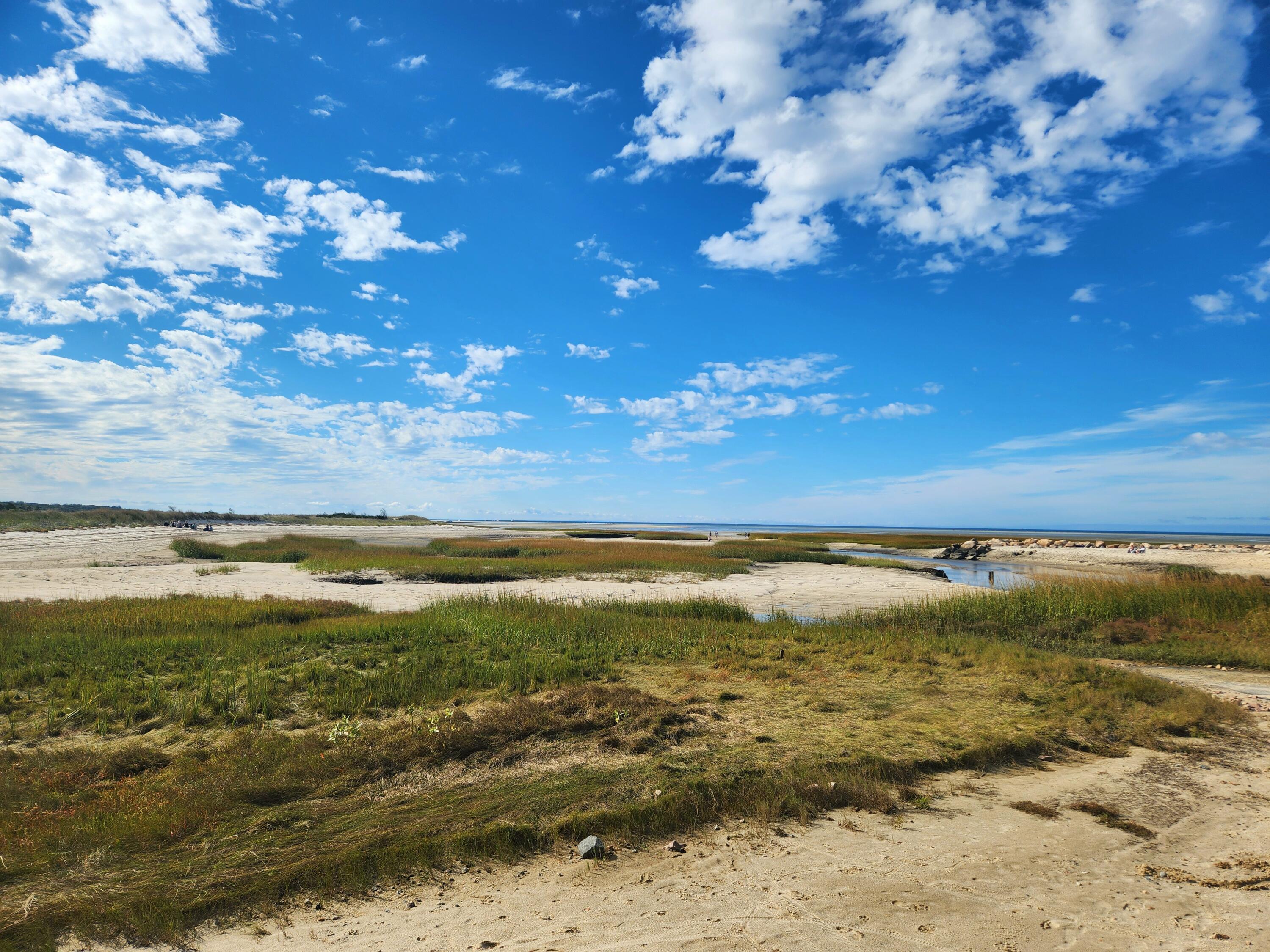 176 Far Fields Road Brewster, MA 02631 - Photo 35 of 44 20240928_150842 (1)