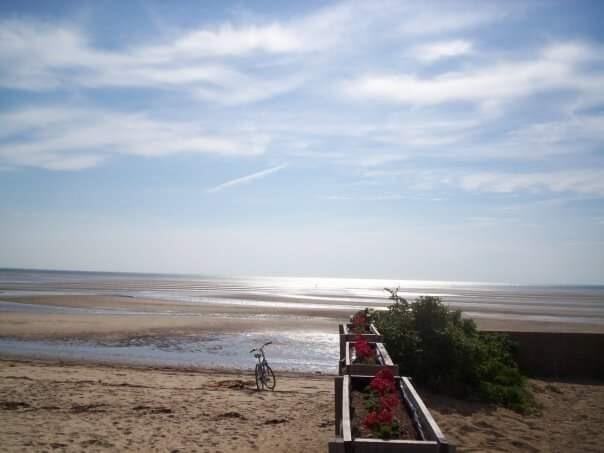 176 Far Fields Road Brewster, MA 02631 - Photo 44 of 44 Beach