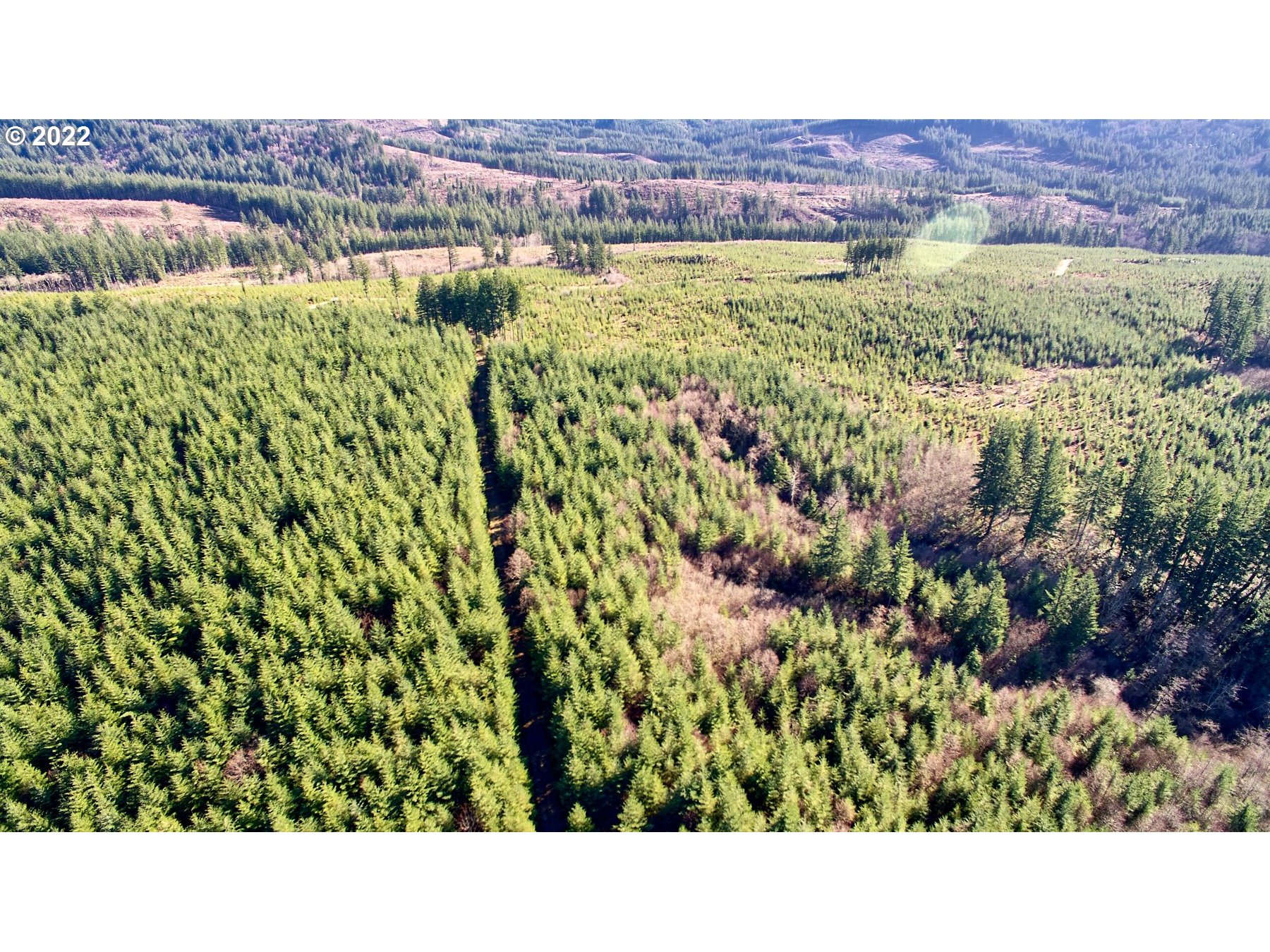 3 Northeast Jones Creek Road Camas, WA 98607 - Photo 24 of 24