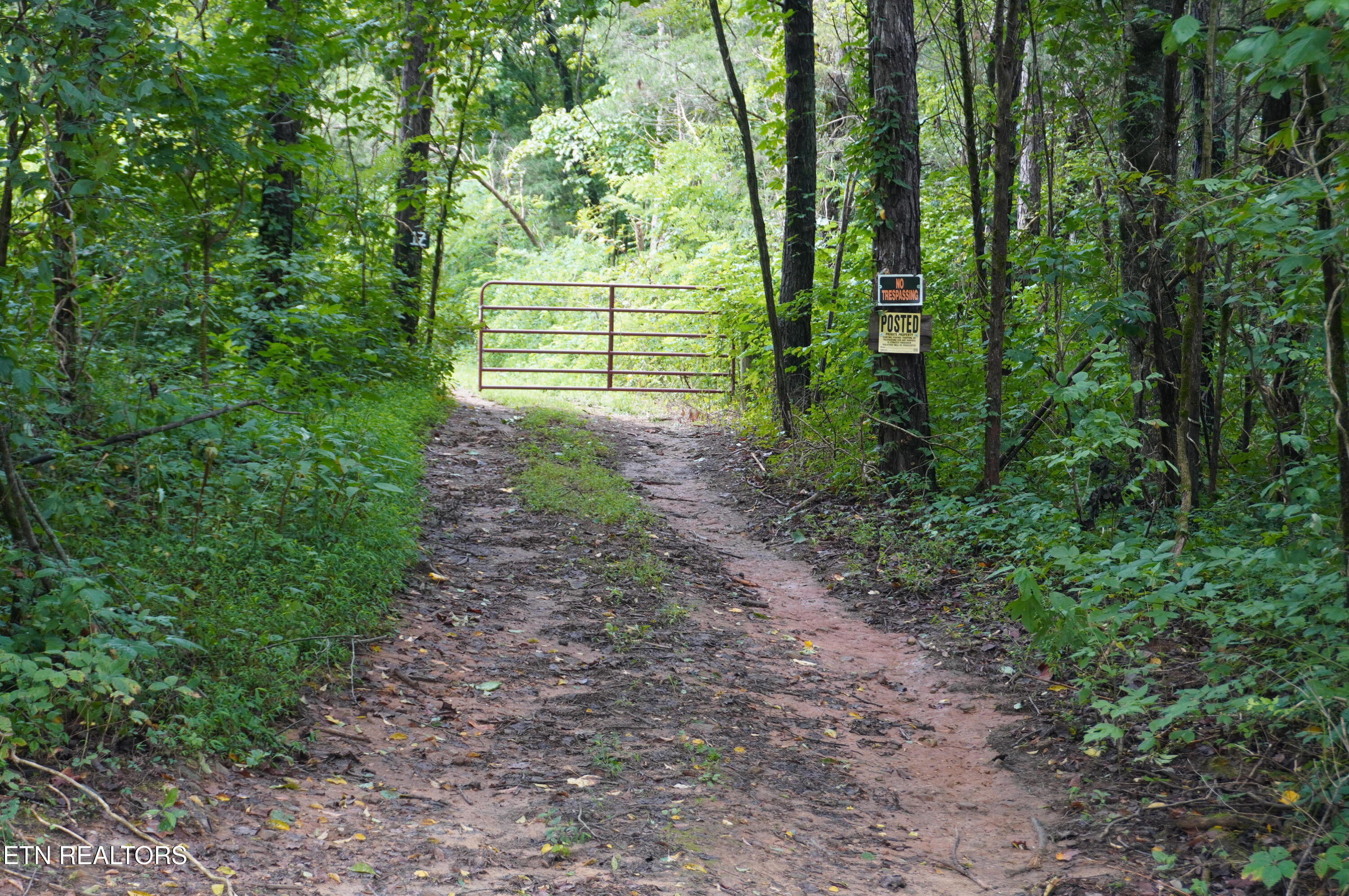 17 Pleasant View Cemetery Road New Market, TN 37820 - Photo 37 of 59 new list 1-2026 (39)
