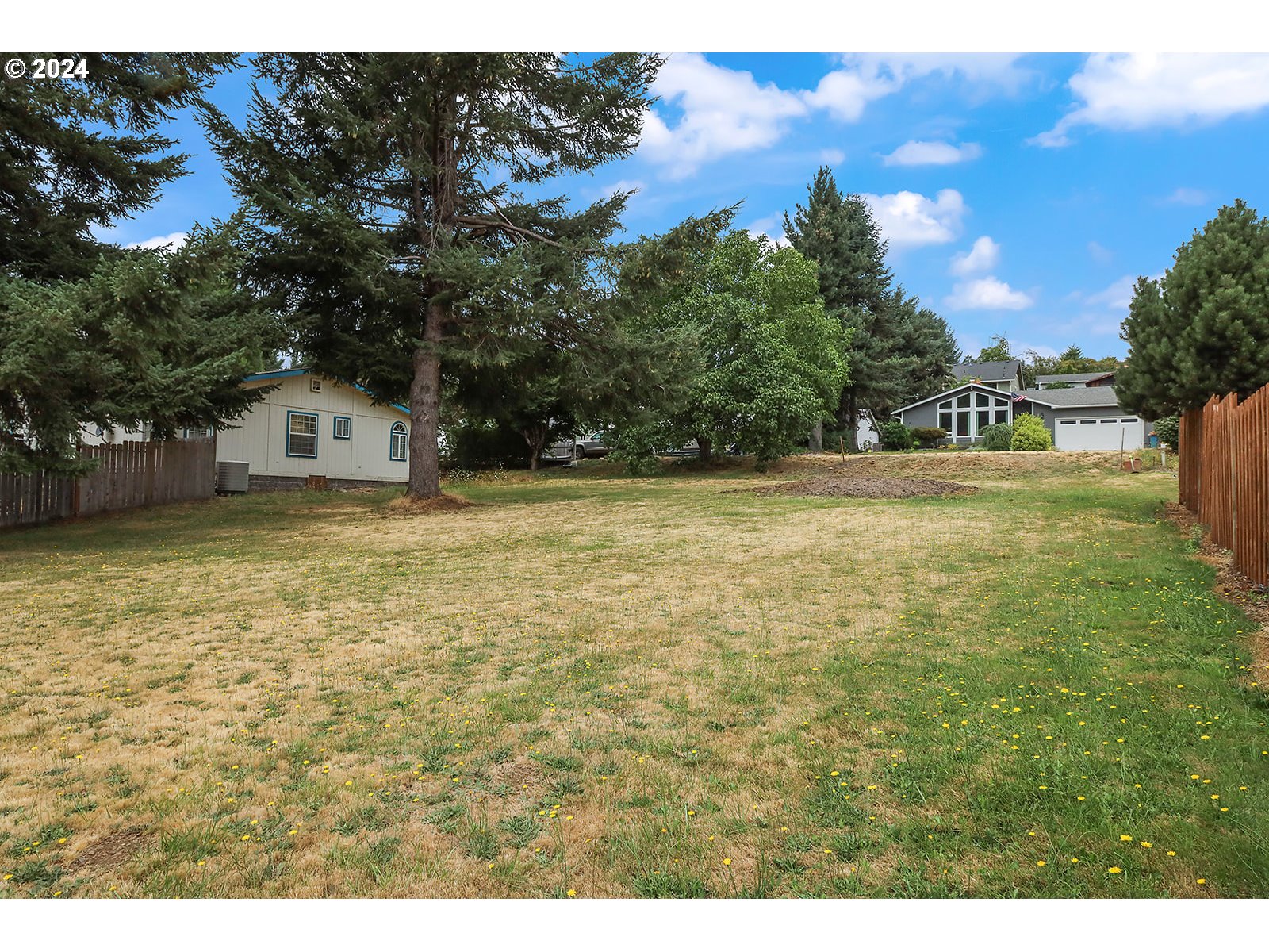 Juniper Street Carson, WA 98610 - Photo 2 of 15 Gallery Image 2