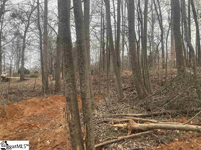 163 Rockingham Road Duncan, SC 29334 - Photo 3 of 7